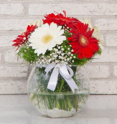 cam vazoda 5 adet kırmızı gül  Çiçeği & Ürünü Fanusta Gerbera Aranjmanı 