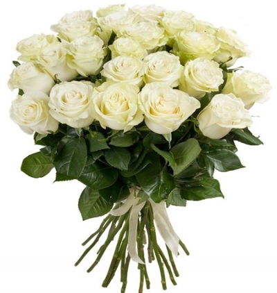 51 beyaz gülden buket Çiçeği & Ürünü 27 Beyaz Gülden Buket 