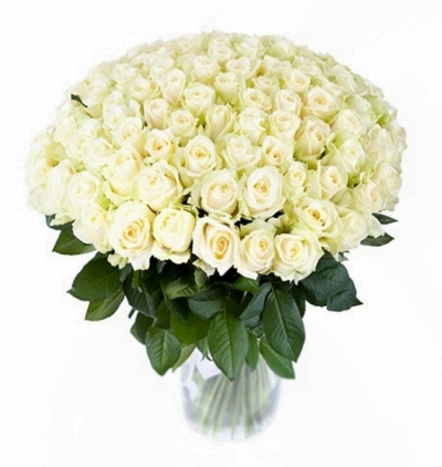 kemer çiçek 101 Beyaz Gül  