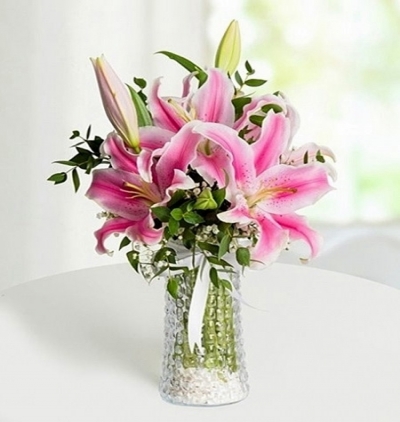 beyaz Çiçek aranjmanı Çiçeği & Ürünü Vazoda Pembe Lilyum 