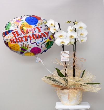 beyaz orkide ve kırmızı gül Çiçeği & Ürünü Uçan Balon Ve 2Li Orkide 