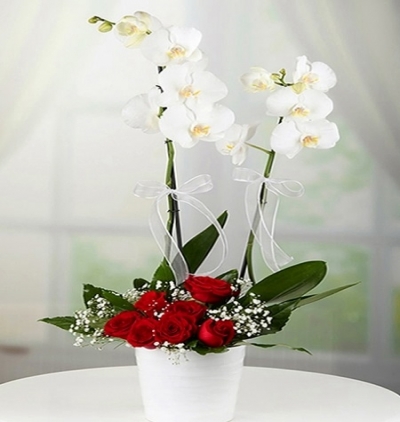 vazoda pembe lilyum Çiçeği & Ürünü Beyaz Orkide Ve Kırmızı Gül 