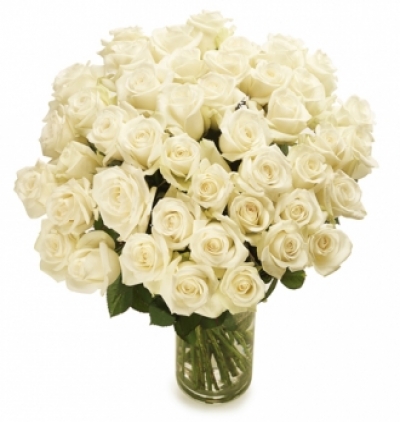  Kemer Çiçek Vazoda 101 Beyaz Gül 