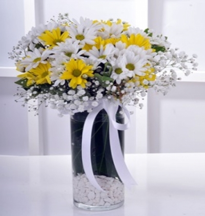 kemer çiçek Vazoda Sarı Beyaz Papatyalar 