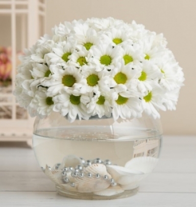 vazoda beyaz lilyum Çiçeği & Ürünü Aşk Kürede Papatya 